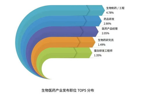 軟件技術開發與銷售 創新驅動與市場拓展的雙輪驅動